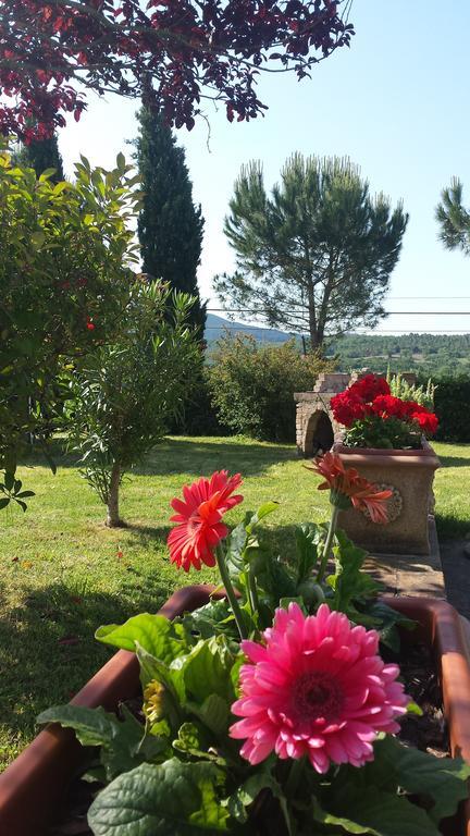 Agriturismo Il Catrino Ponteginori Экстерьер фото