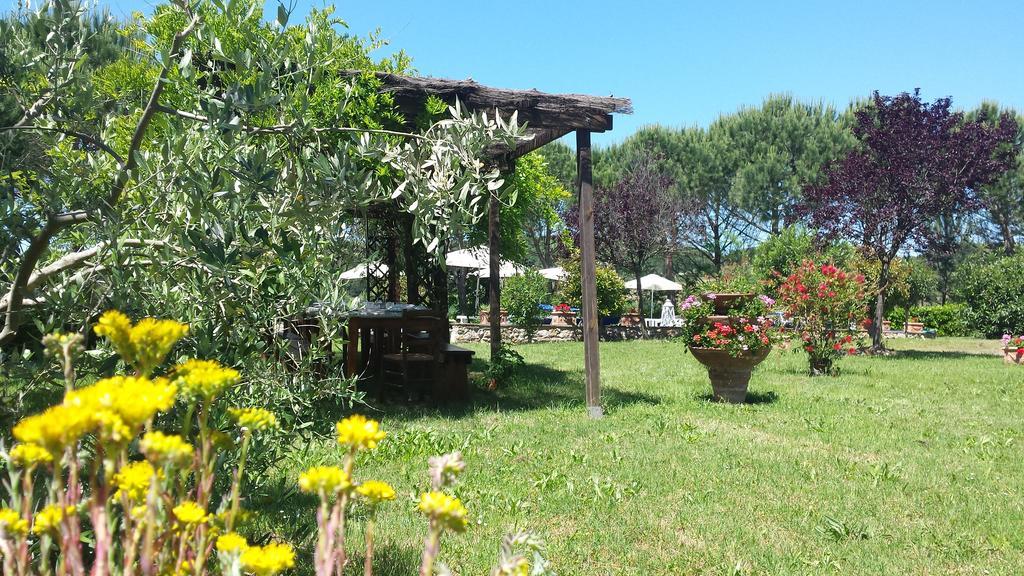 Agriturismo Il Catrino Ponteginori Экстерьер фото