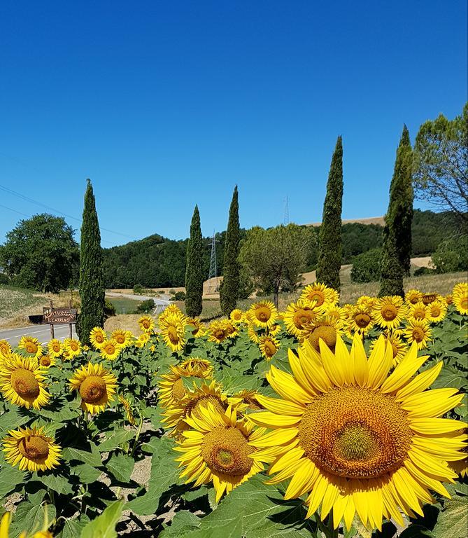 Agriturismo Il Catrino Ponteginori Экстерьер фото