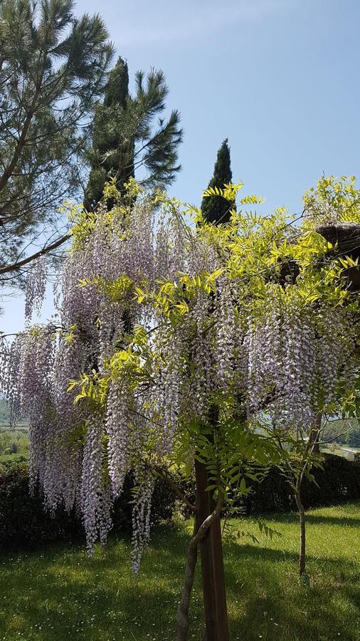 Agriturismo Il Catrino Ponteginori Экстерьер фото