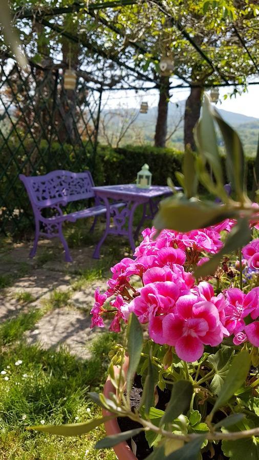 Agriturismo Il Catrino Ponteginori Экстерьер фото