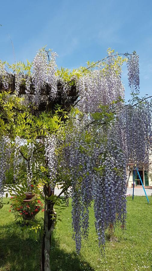 Agriturismo Il Catrino Ponteginori Экстерьер фото