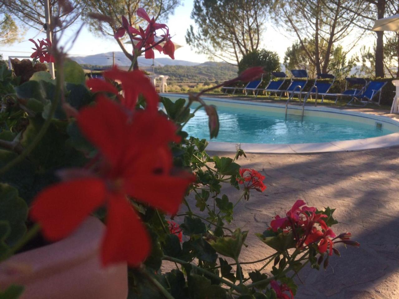 Agriturismo Il Catrino Ponteginori Экстерьер фото